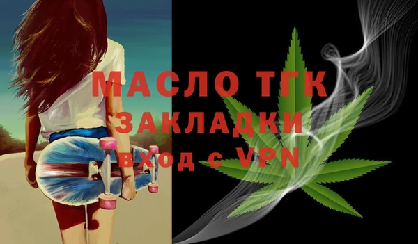 твердый Дмитровск