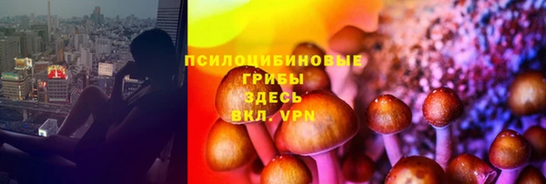 твердый Дмитровск