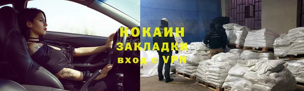 стафф Дмитриев