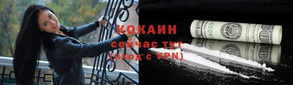 стафф Дмитриев