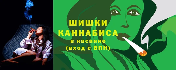 твердый Дмитровск