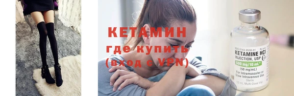 твердый Дмитровск