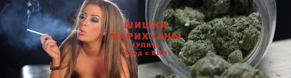 стафф Дмитриев