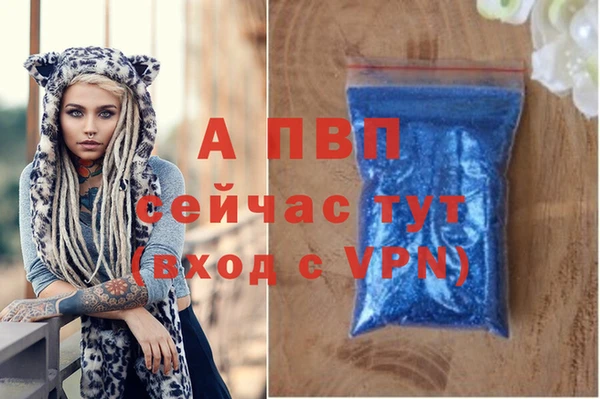 стафф Дмитриев