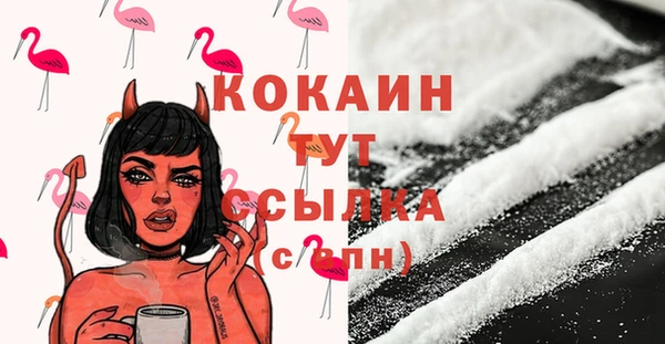 твердый Дмитровск