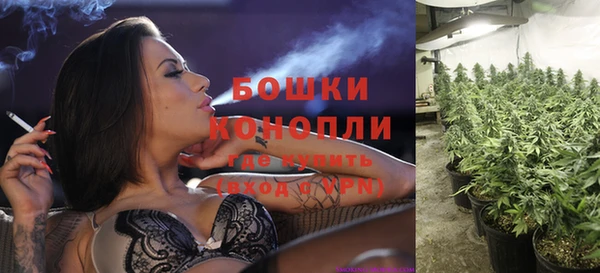стафф Дмитриев