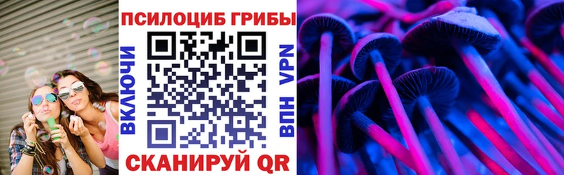 Псилоцибиновые грибы Cubensis что такое ссылка на мегу вход Карабулак